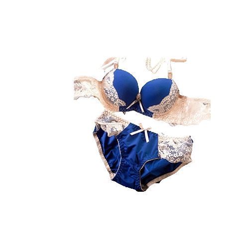 Pushup bra & underwear sets